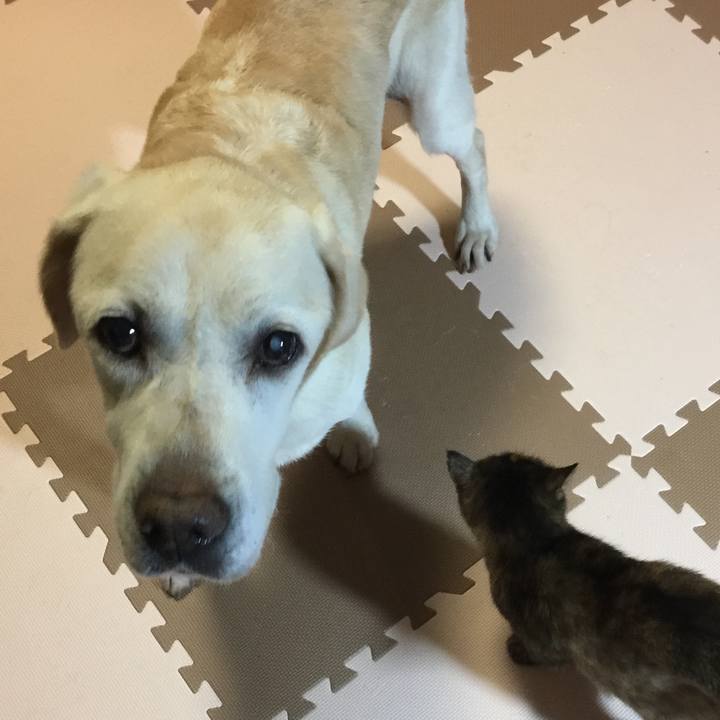 25eeb90c d60e 4f6a a106 651b98f85f89 1538479267682