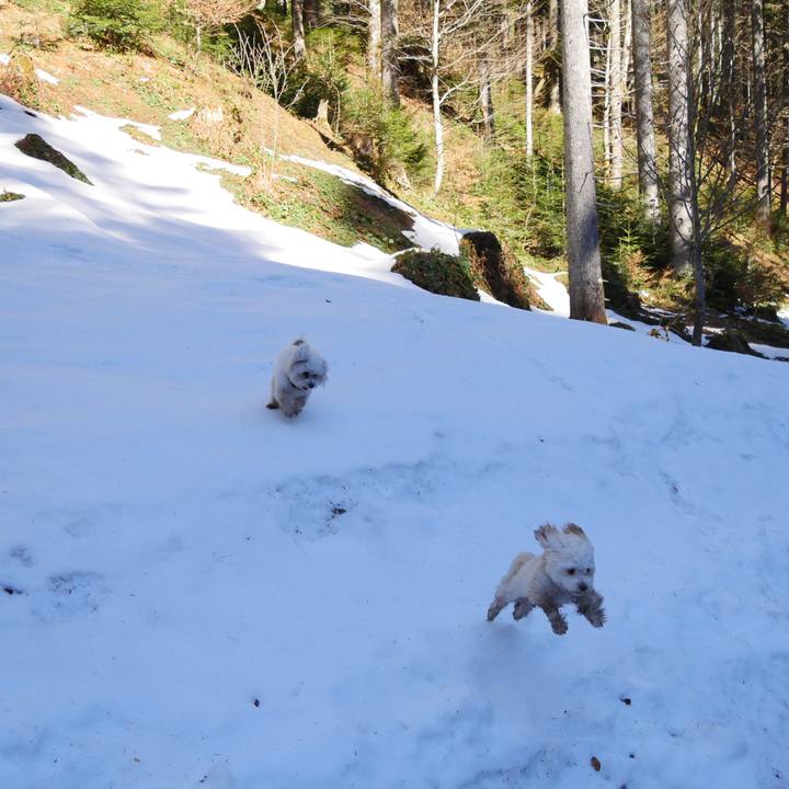 25eec44d cde3 480f b23d dbaf4e572869 1774178290142