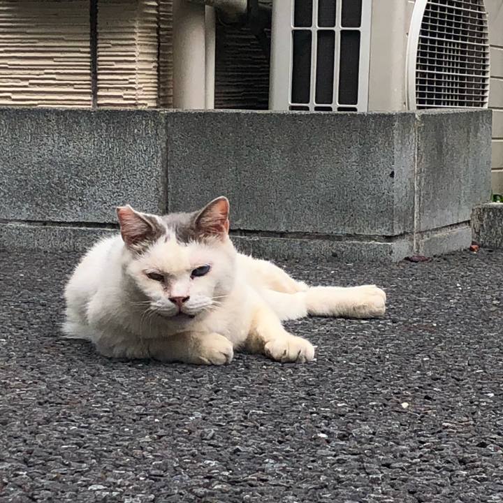 25eed964 a534 4649 813d 5f2500184b76 1599978900706