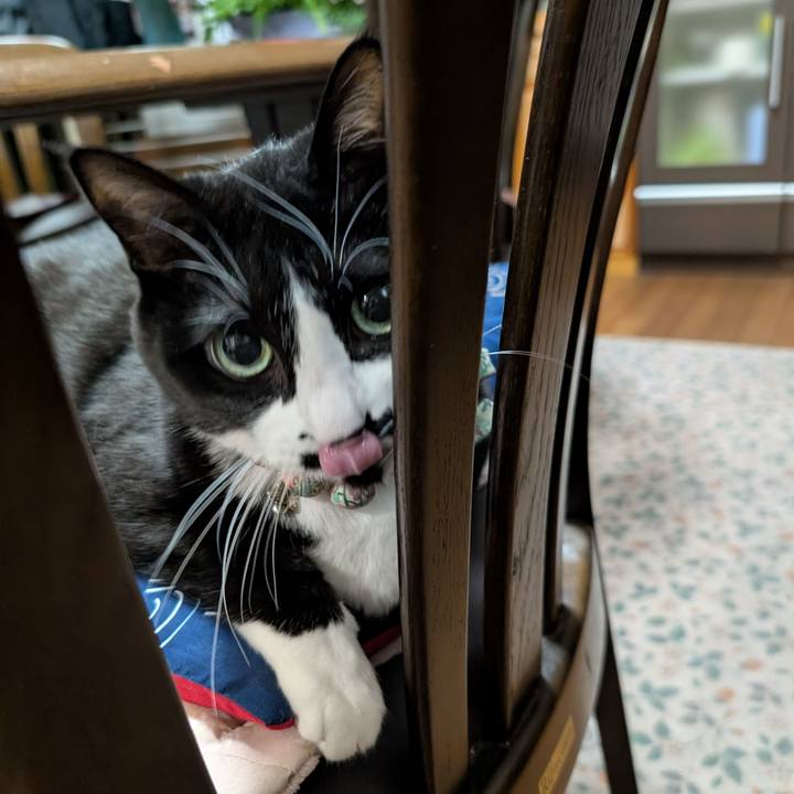 25eedb9f a01c 47e4 a70a da10e548540a 1765021005822