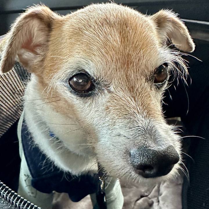 25ef2267 aa55 4e68 aa10 51808e229167 1677978009479