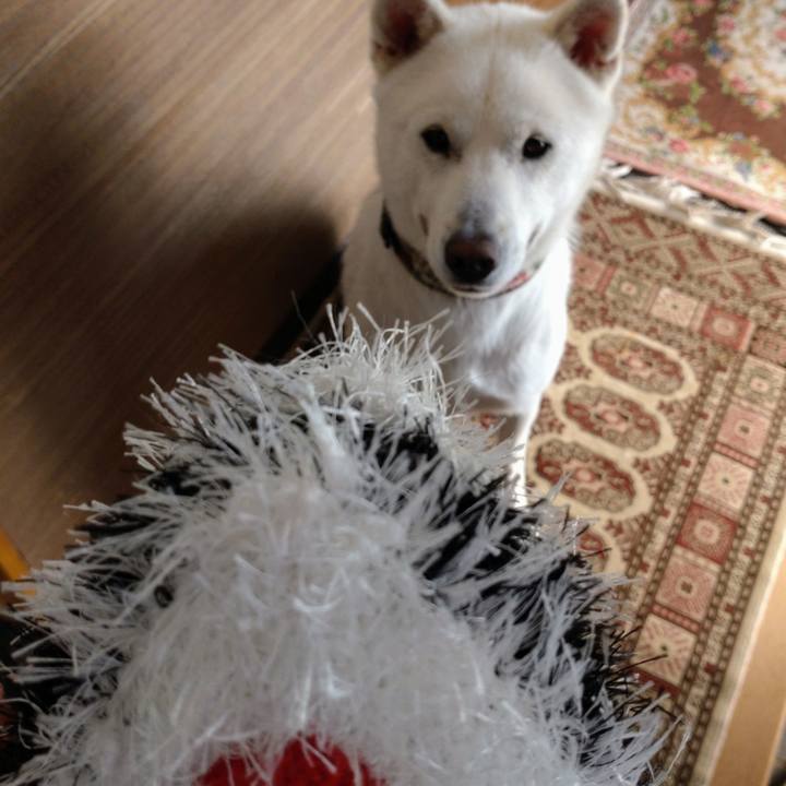 25ef27ba 4adc 495e 839f 64d748db4437 1652831941632