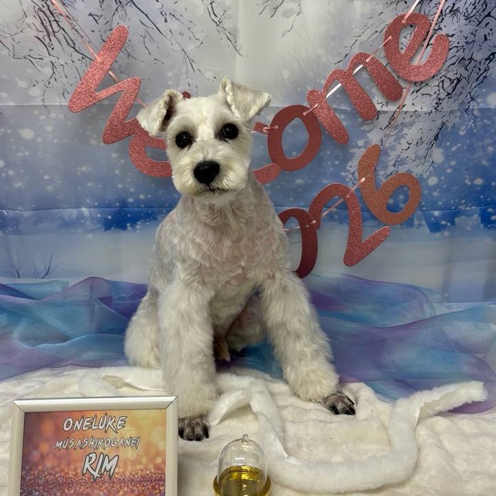 25ef3789 2395 4c5d 8eae a0601d63111d 1767957795237