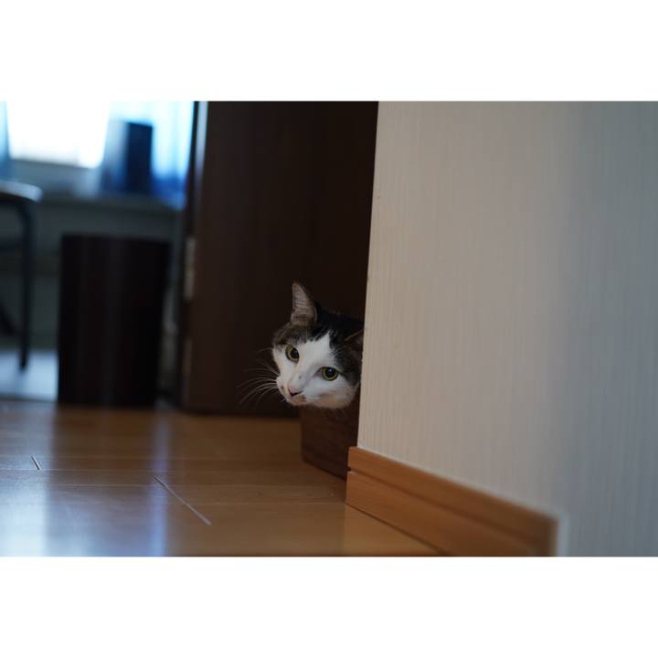 25ef7b56 bd2e 402a afd7 514ff8fd747d 1566948673182