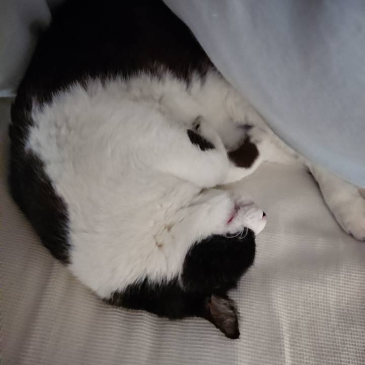 25efab94 00de 4a50 a5f1 7e58ba8a8331 1639039730033