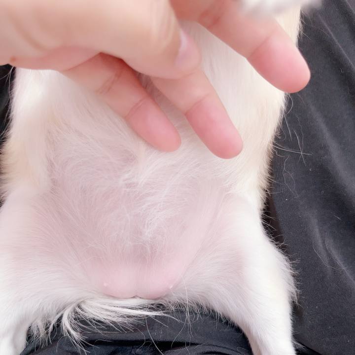 25efd744 8451 4340 add6 af46e1cc8742 1697285075192