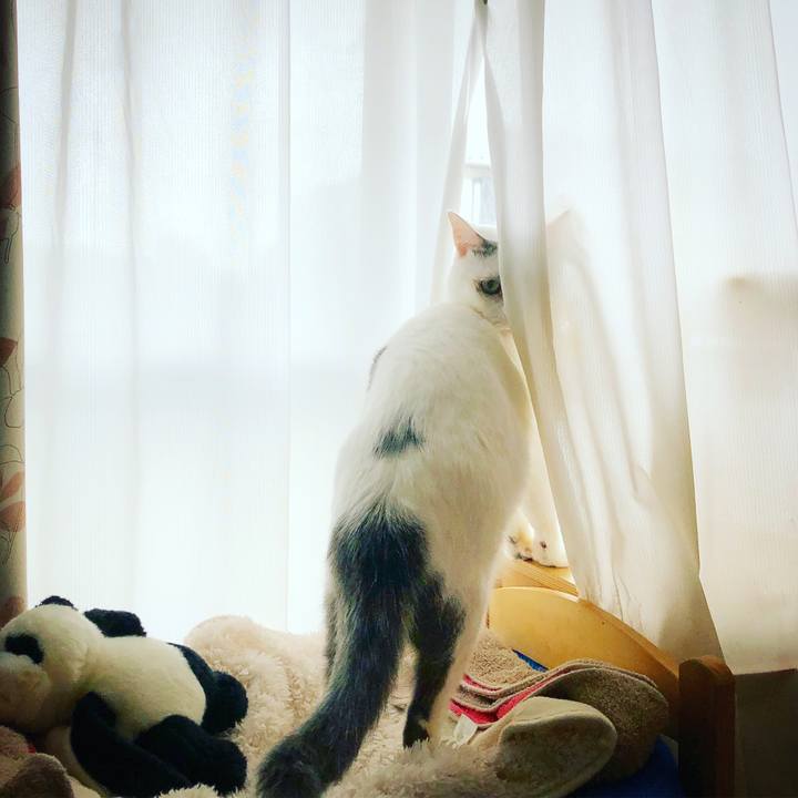 25f01810 e06d 4a1b a24e 4507259c39b7 1536096465076