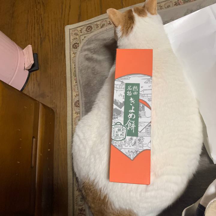 25f03dbc d80c 47b8 87d2 e7c5eb094e94 1648648677939