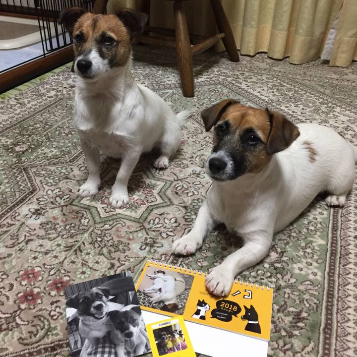 25f04a9e 5bc9 4805 9a1a 7327740742db 1510930078094