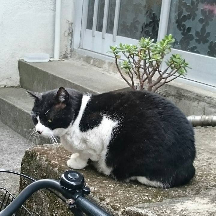 25f07bcb e2b7 4e89 91ea 176e1fd6b835 1519011453848