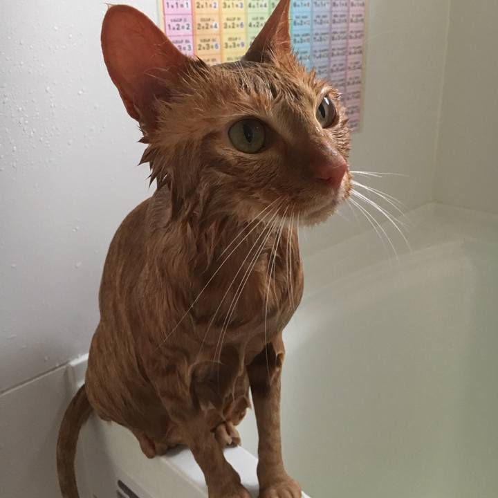 25f087e4 2604 4b5e 9bc0 e722701bfa91 1528201493041