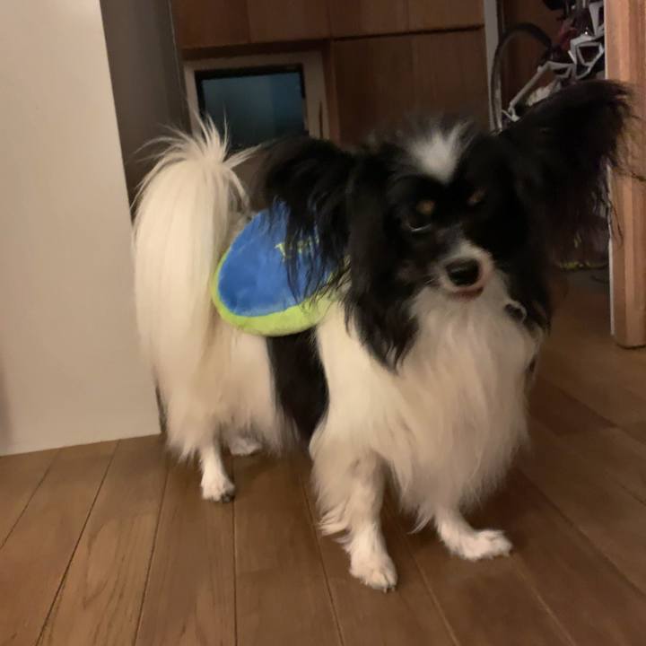 25f088e2 9cd0 4bfd 912a a41378dae585 1559128770820