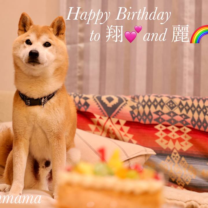 25f0a155 a6fb 4540 85b9 076f6cbe75e3 1769519764736