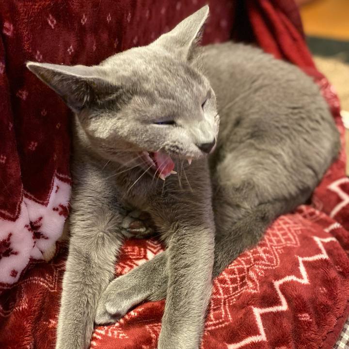 25f0a6cc f419 4343 9ac6 5ceb6827d10a 1640842650668