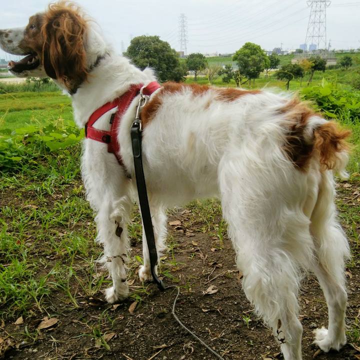 25f0cf60 ffdc 4e31 8be4 de3cead28a61 1536838392006