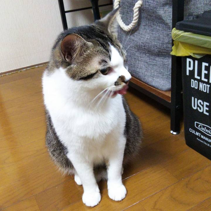 25f0ff88 26f5 4770 9cb3 dc6f0d72e821 1639658662178