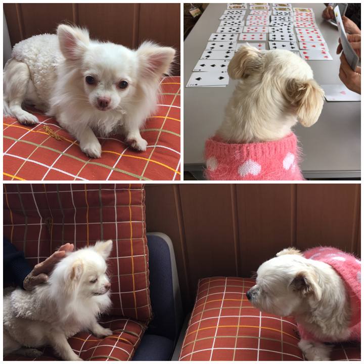 25f11298 632f 4dcf 9ce1 bf8592bcfd26 1548408296254