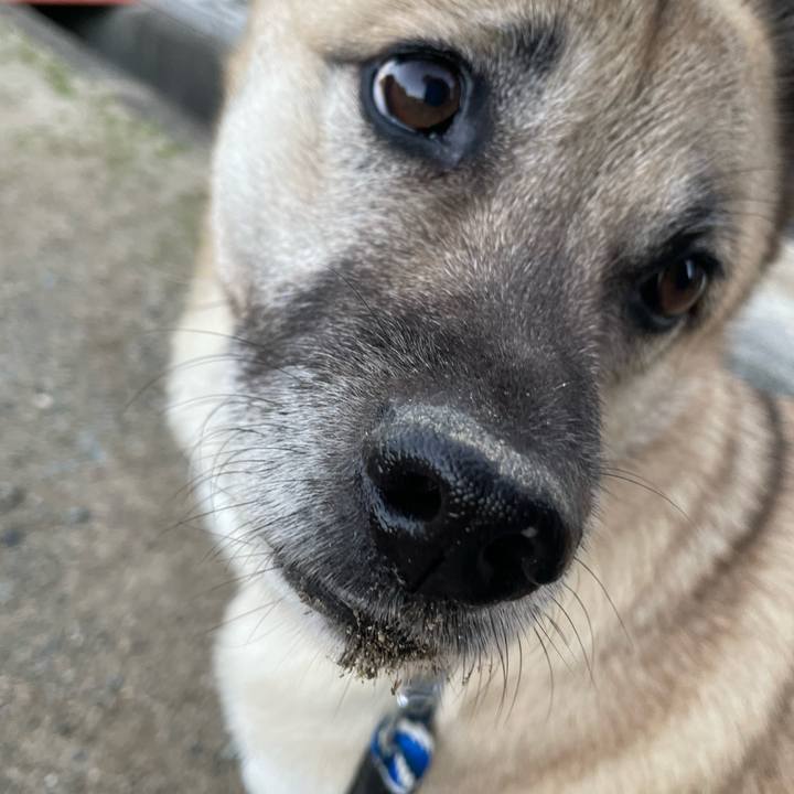 25f11634 eec7 4d78 98d7 893edd6effa7 1670329565444