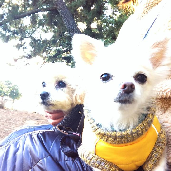 25f14a0f 0386 4d94 a151 44ae82ccaf62 1609486689527