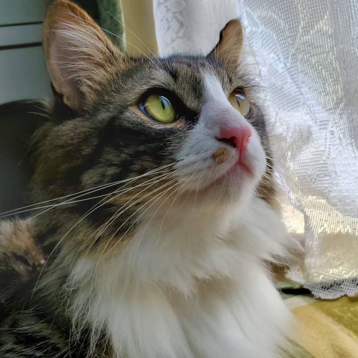 25f15990 4646 40be 9f54 70afd6450791 1688600688411