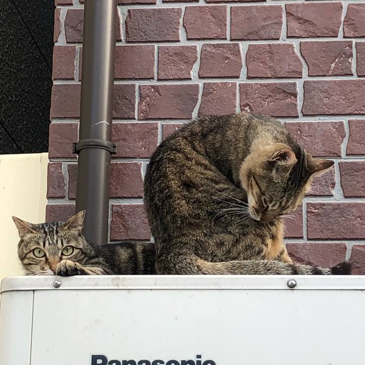 25f17832 0d40 48ba 8ecd 8ec9151d4171 1527171630723