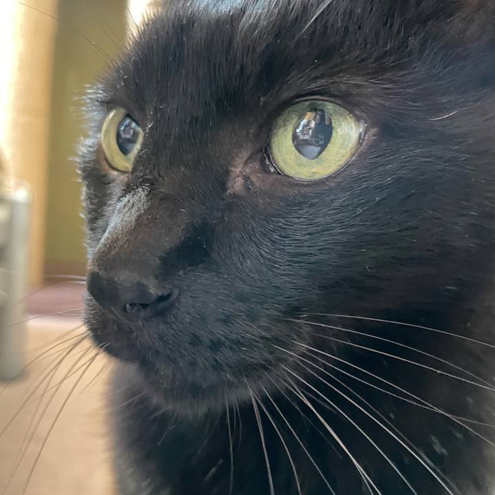 25f17f85 6efe 4298 805a e07e3792d80e 1641604671689