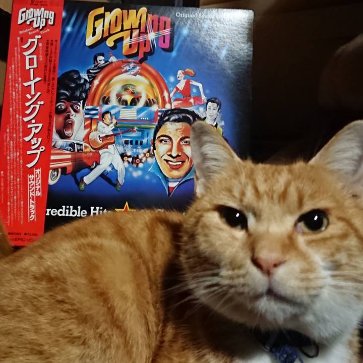 25f1a906 d7e6 4dca a930 16d18d4d65e0 1604485732110