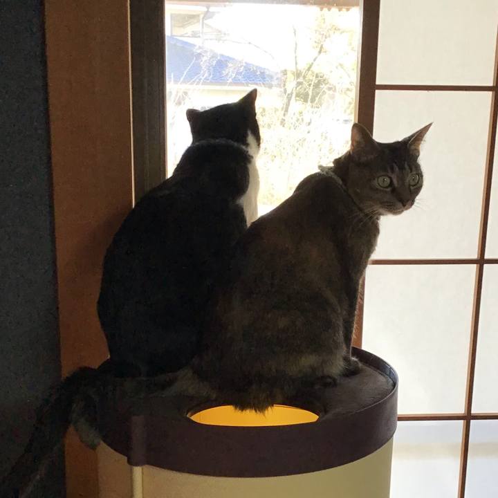 25f1c40a d056 44ab b25d 1972f847e9ee 1643877105220