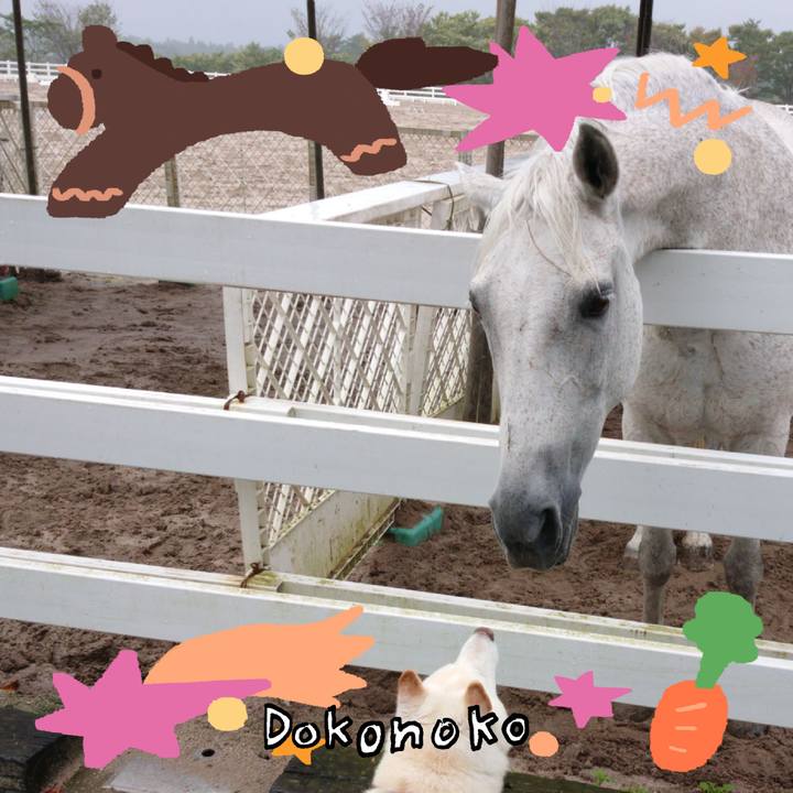 25f1e2c3 b248 4dc4 872c 15602cff48d8 1771904529002