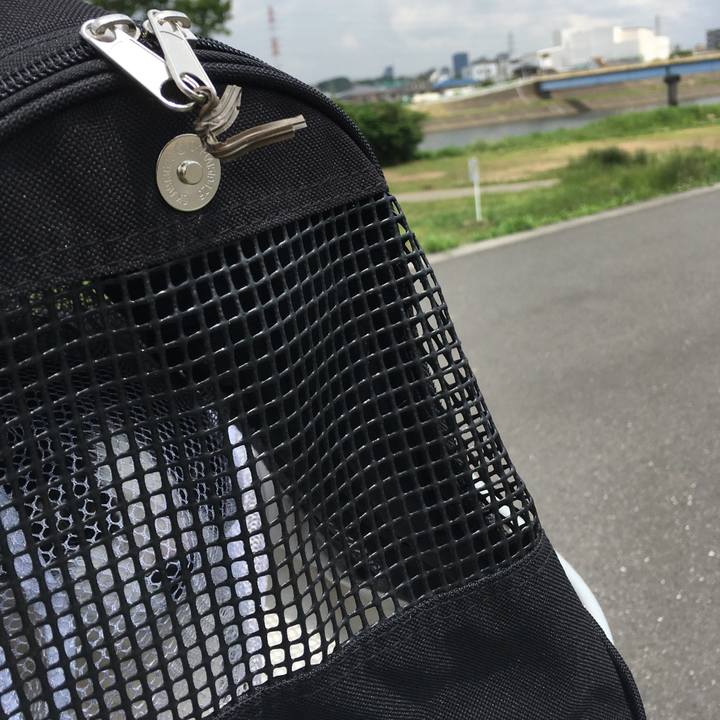 25f20449 8b03 4851 9bf1 fda50485a8f7 1555128564521