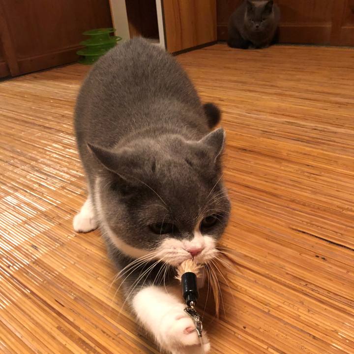 25f218f9 3deb 4b63 9c57 17530817a5a7 1573896916441