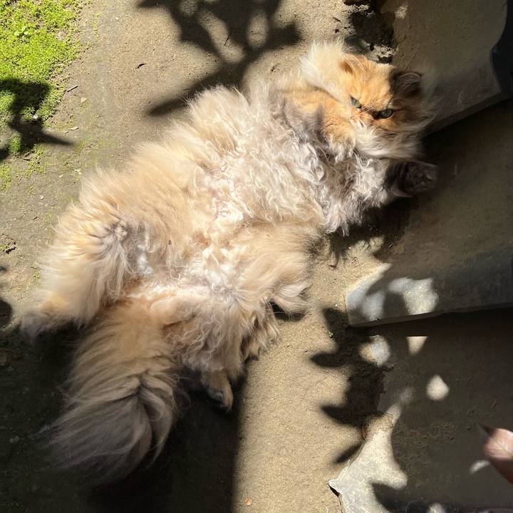 25f22a02 a779 4a78 b59b d964e68e6bb2 1681902957348