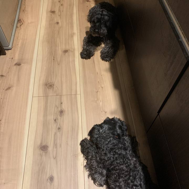 25f27224 209d 442c 8235 a1d0314093a8 1591524709222