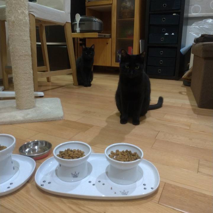 25f28e93 98e1 42bf a4e5 125f6ca81fd5 1556061916435