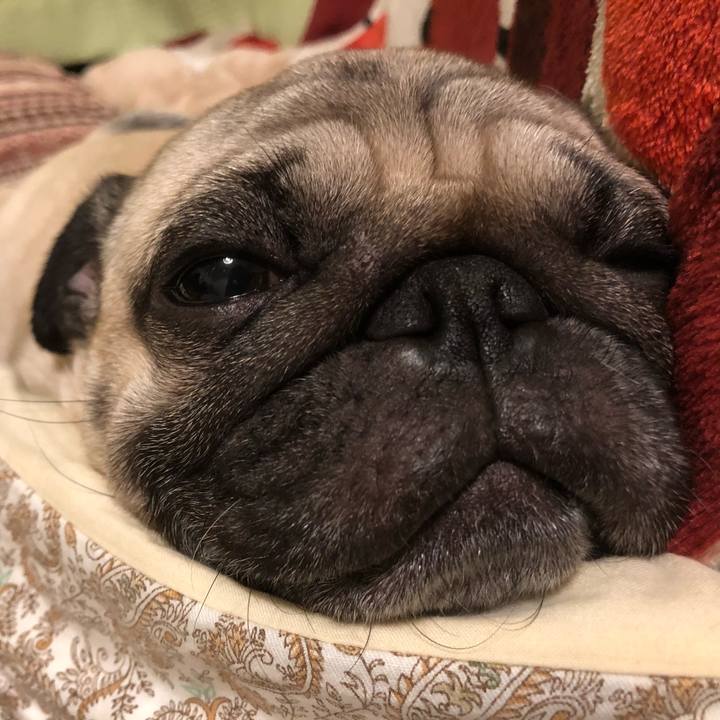 25f2d449 d3ae 4658 9258 bf00e7fd4981 1516579415007