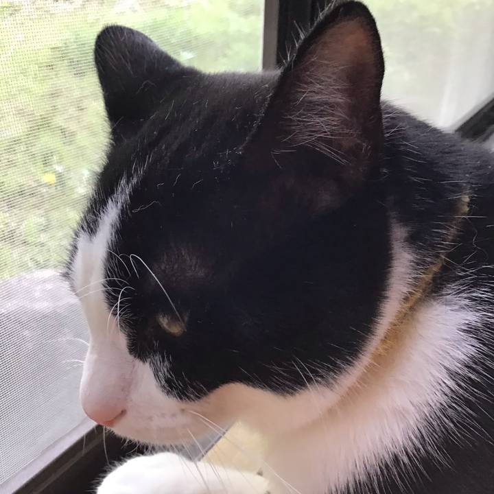 25f2e4c7 b37d 4c13 b219 50c60ef477a5 1649657479172