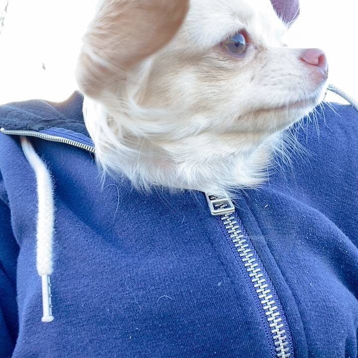 25f34fe5 2b43 497c 96a6 585c5d8a862d 1608190323259