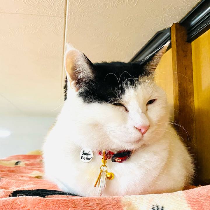 25f35c29 3fae 491c be36 624f66a3081b 1707479938614