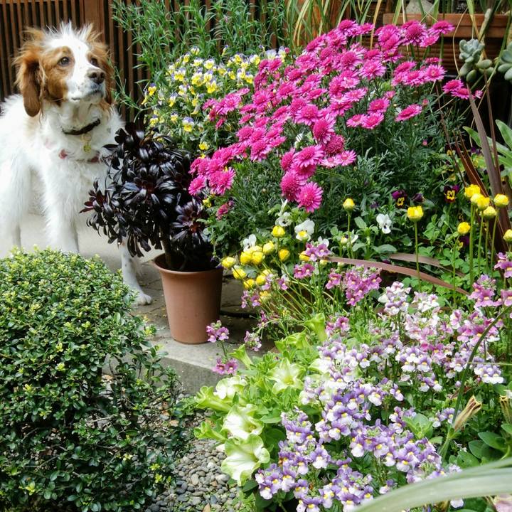 25f36a2a 6a9a 4104 83c2 30a6d5bd9cfb 1556410227927