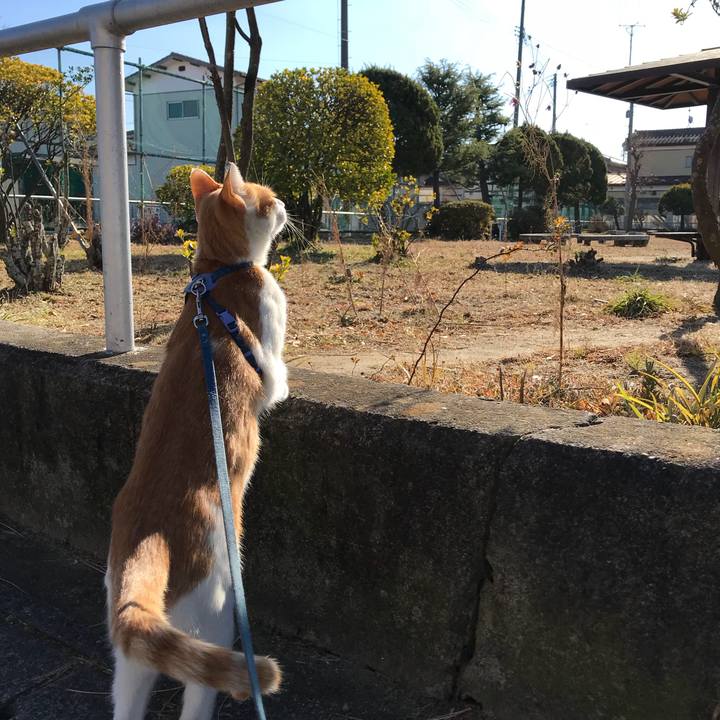 25f39fc9 2076 494c bcc8 dd3f191ed361 1512629079713