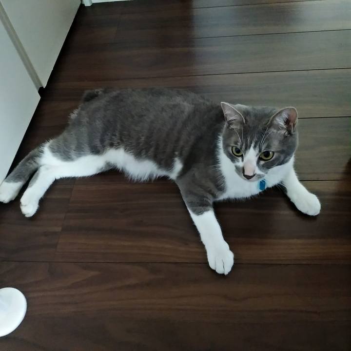 25f3cb9d 1088 4735 8900 c5c886b0ed2d 1592002063318