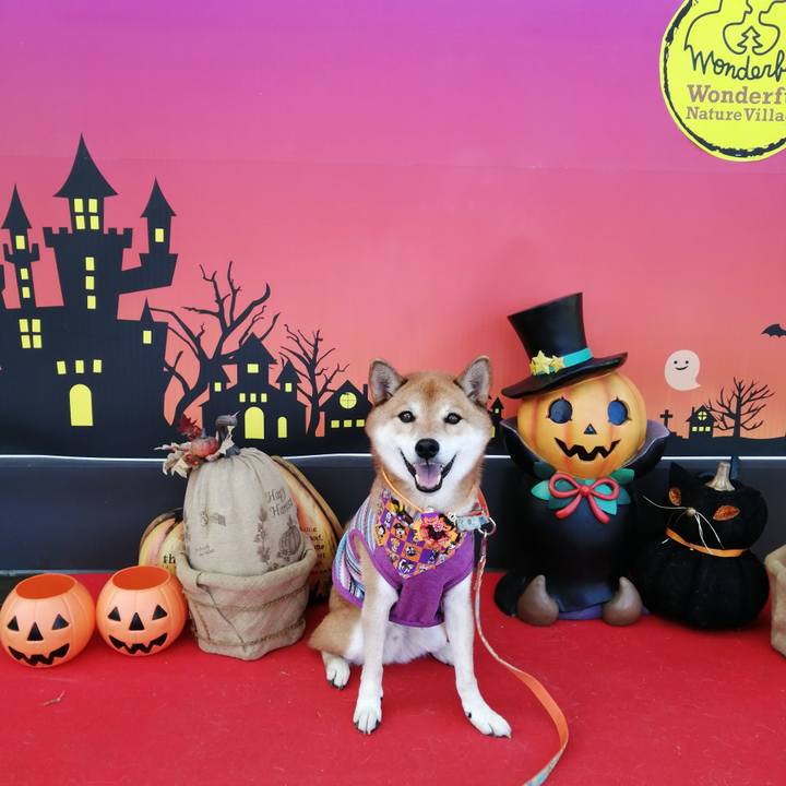 25f3de2f 077b 4473 a816 b84b83c7ebb4 1634986975106