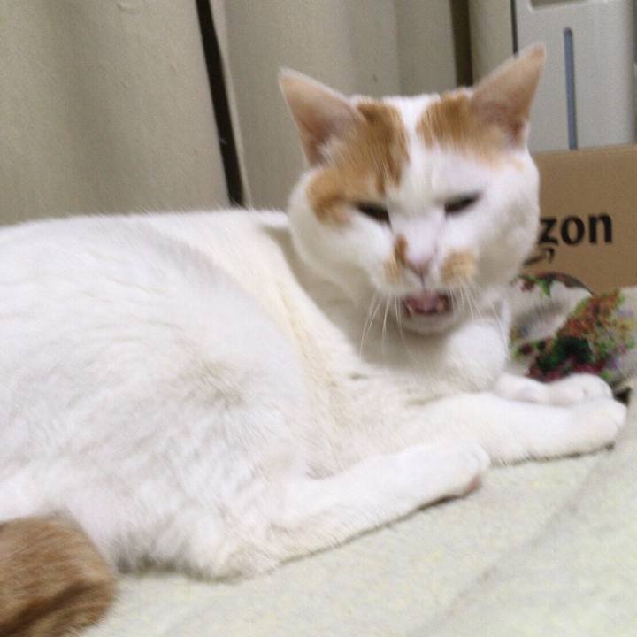 25f41754 6815 43c0 82f7 5612170aad08 1515158818236