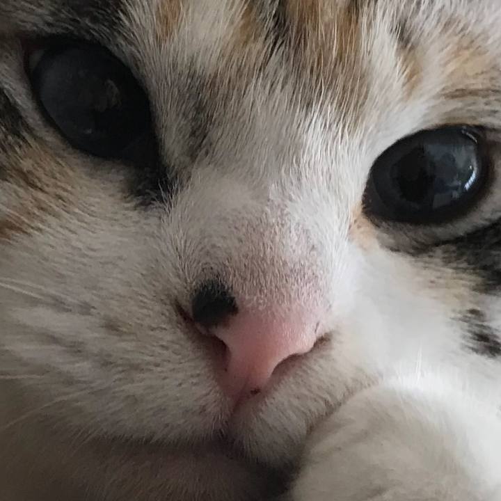 25f41810 d4d7 47c5 a226 78d766e80c9a 1523535978615