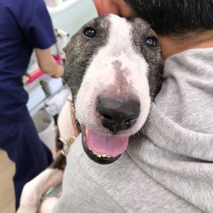 25f427e0 b79a 45eb 8f61 be5a0c5461bb 1527390717960