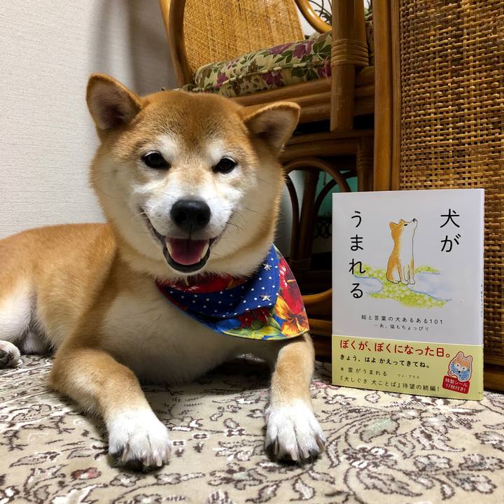 25f44203 68c9 45da 9f23 43f52b2386bd 1537184553456