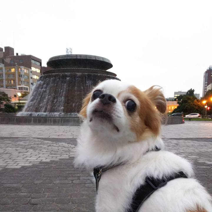 25f443bf 82e2 471a 9f8c e334fb4894b7 1535534568602