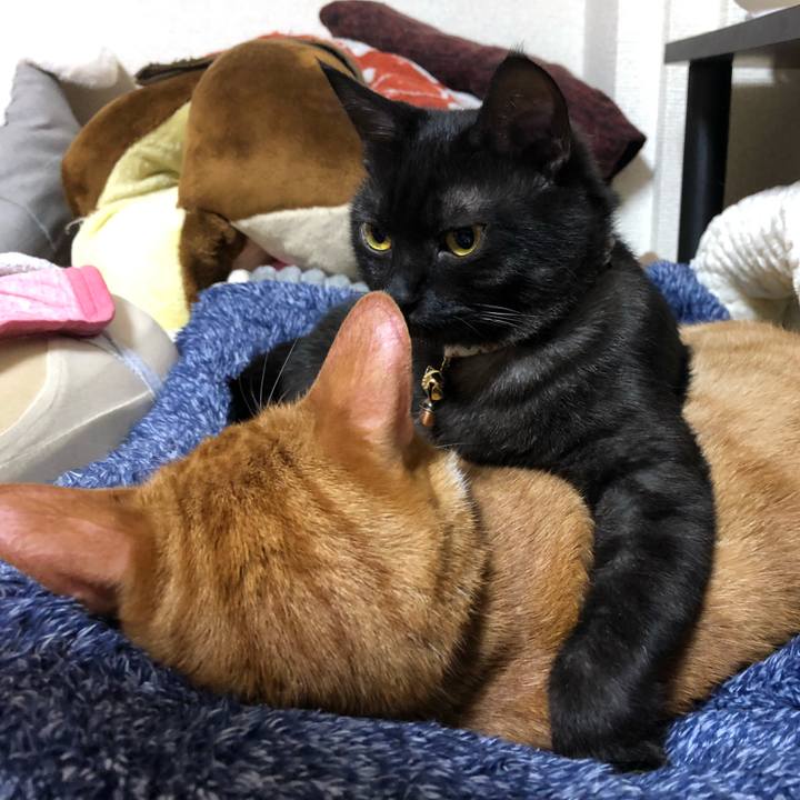 25f46d0c 348c 4250 aa5f 057b3c3a2138 1619878657113