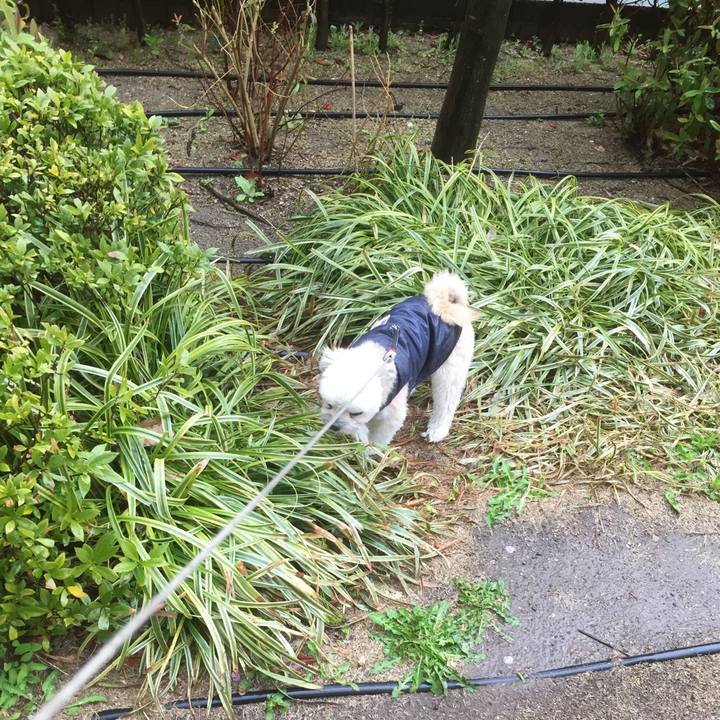 25f489b2 0ea2 4511 ae8b 1fc83ef256e0 1554894865166