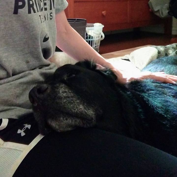 25f4c3e8 02e7 42c6 a31f bf47288a00f5 1697086613320